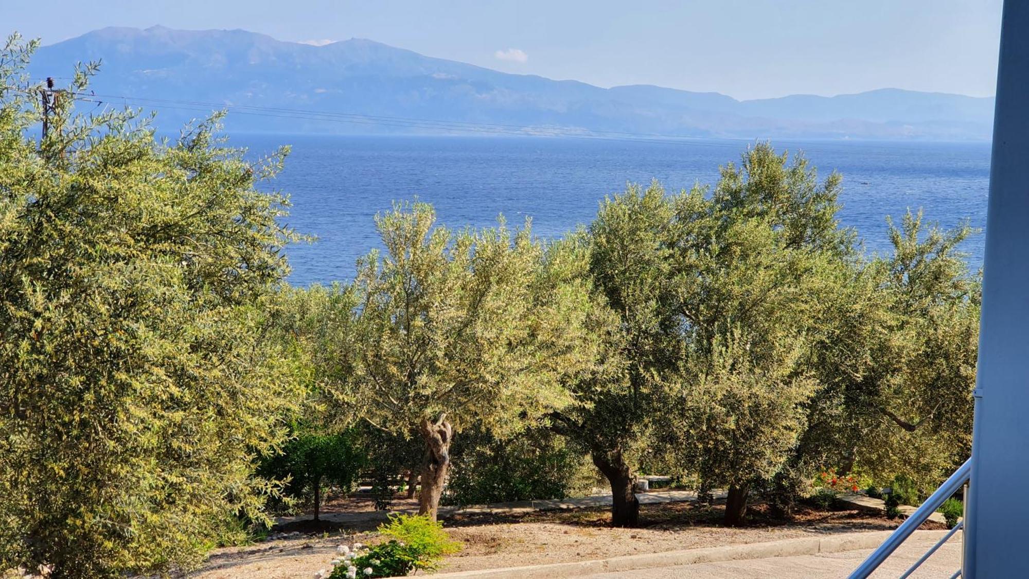 Assos Nazan Motel Restoran Beach Sokakagzi Szoba fotó