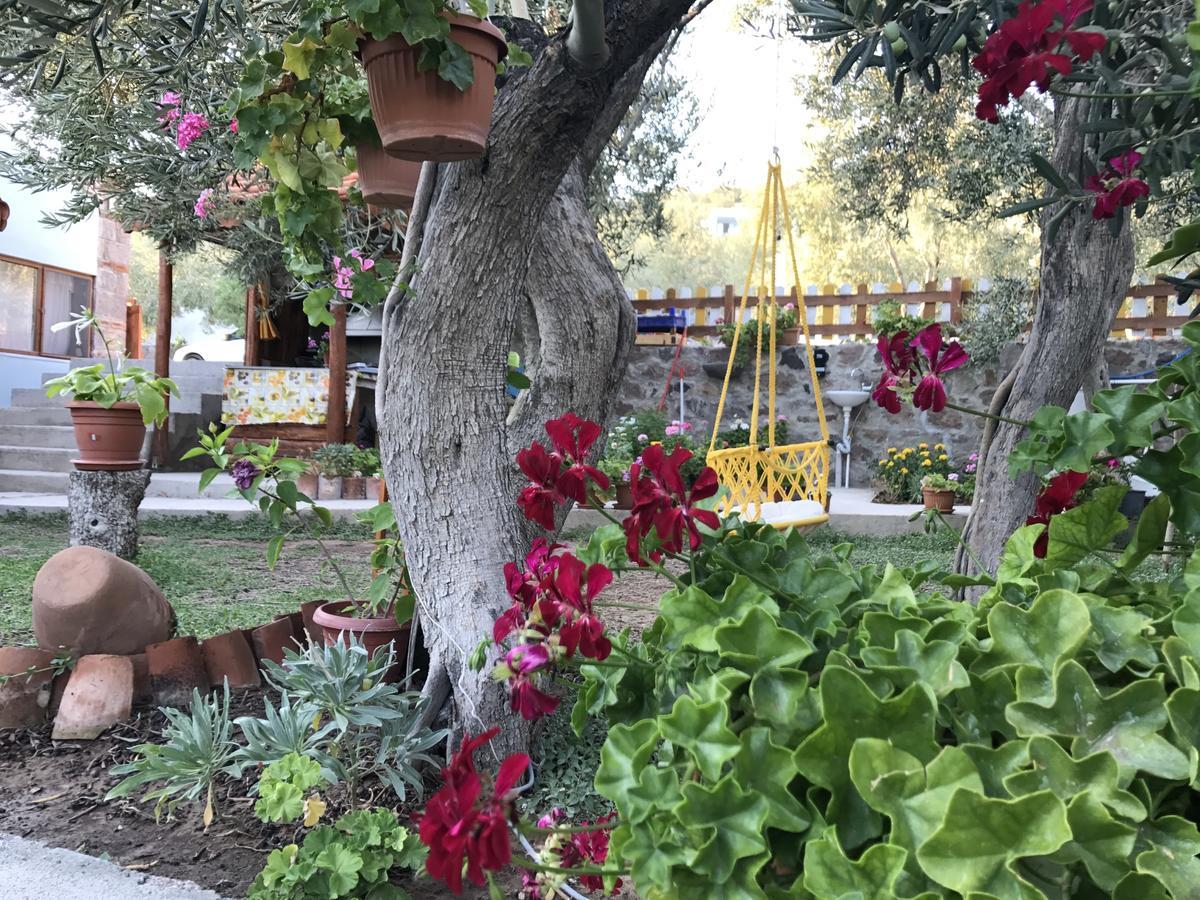 Assos Nazan Motel Restoran Beach Sokakagzi Kültér fotó