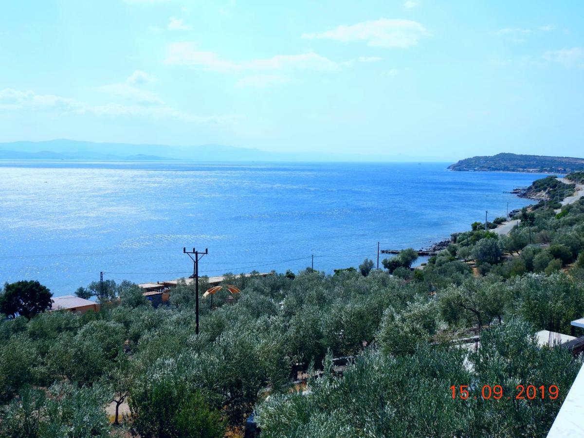 Assos Nazan Motel Restoran Beach Sokakagzi Kültér fotó
