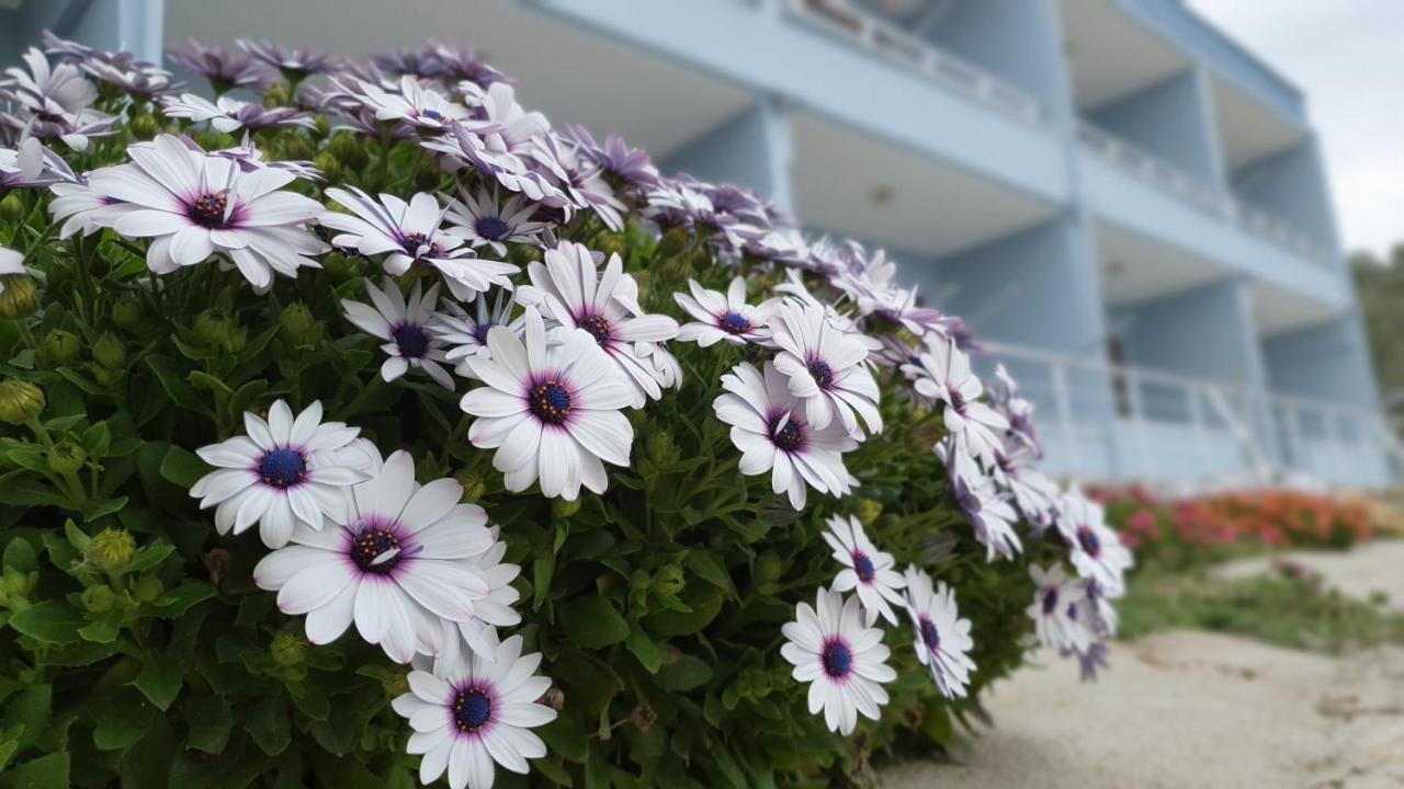 Assos Nazan Motel Restoran Beach Sokakagzi Kültér fotó